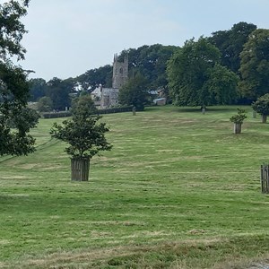 Church of the Holy Cross, Tetcott Gallery