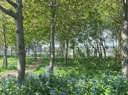 Balderton Parish Council Coronation Street Park