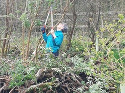 Sustainable Bourne Valley Hirst Meadow