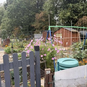 Balderton Parish Council Glebe Park Allotments