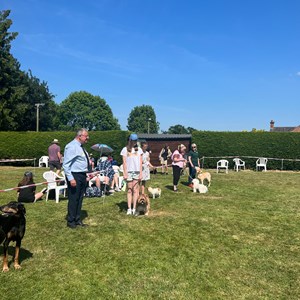 Whixall Social Centre Whixall Dog Show 2023 Report and Phots