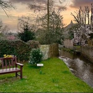 Tranquility By The Beck