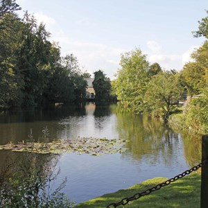 The Moat