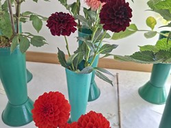 Bucklebury and Marlston Horticultural Society Autumn Show Report 2026