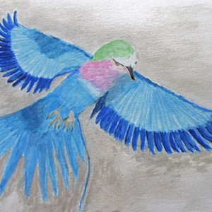 Barbara's Painting Exotic Bird