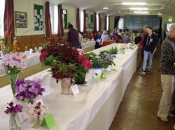 2016 Flower and Produce Show