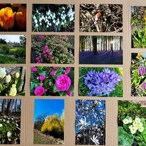 BETHERSDEN GARDENERS' SOCIETY Photo Gallery