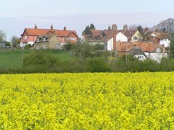 Cuddesdon and Denton Parish Council Gallery