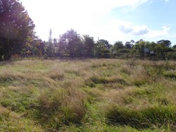 2018 Making the Wildlife Area from the old tennis courts