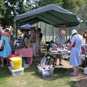 Goodworth Clatford Parish Council  Flower Show  2025 photographs.