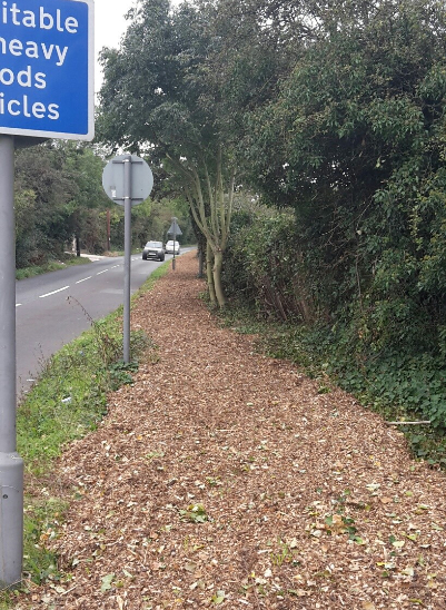 Sheepridge Lane - Green Path