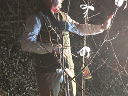 Martinstown Village Hall Wassail 17th Jan 2026