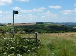 Cottington's Hill, looking across the North Hampshire Downs