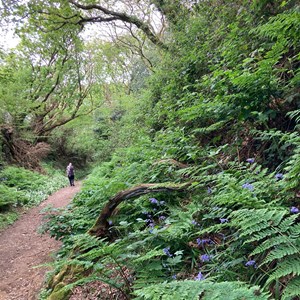 Chillerton and Gatcombe Parish Council Village Photos