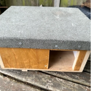 Hedgehog house £20