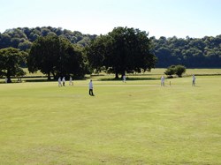 Hawkley Parish Council Hawkley Cricket Club
