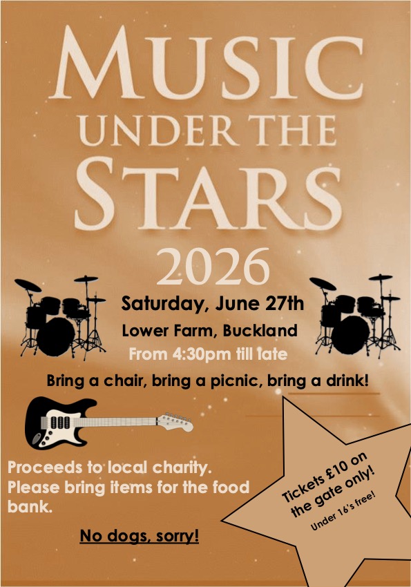 Music Under the Stars