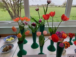 Bucklebury and Marlston Horticultural Society Spring Show Report 2026