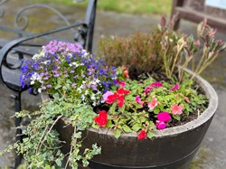 Ightfield Parish Council Calverhall in Bloom