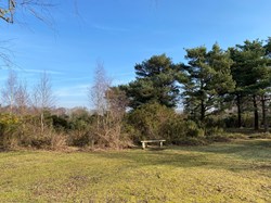 Tadley Common