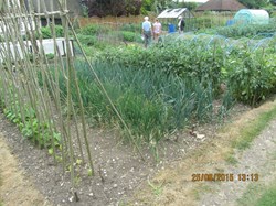 A 'Best Allotment' winner