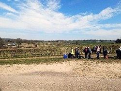 Basingstoke Ramblers Club March Walks – 2025 [Walks 6 to 9]