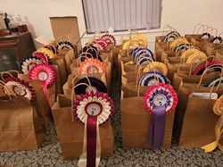 CannockWood&Gentleshaw Village Hall Midsummer Fair Fun dog show