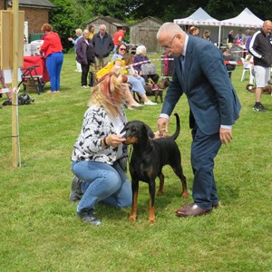 Whixall Social Centre Whixall Companion Dog Show 2022 Report