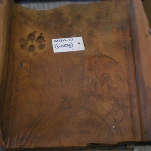 One special tegula or Roman tile – nearly complete with a paw print and if you look carefully at the bottom you will see the maker’s mark or signature- a kind of semi-circle.