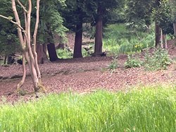 Bucklebury History Group The Dell - Carbinswood Lane