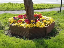 Cannock Wood Parish Council Introduction