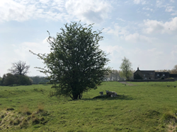 Southorpe Parish Council Home