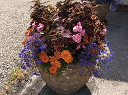 Neighbours' Hall Home