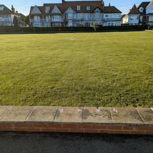 Recovery Works Well Under Way