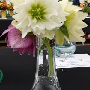 Mannings Heath & District Horticultural Society Photo Gallery