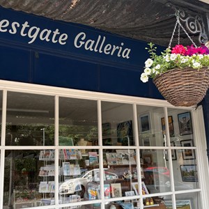 Hanging baskets at Westgate Galleria