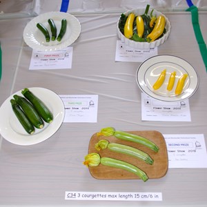 Mickleham and Westhumble Horticultural Society July 2015 show pictures