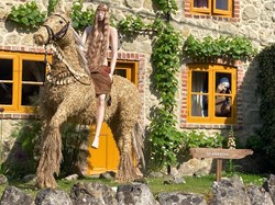 Chillerton and Gatcombe Parish Council Scarecrow Festival