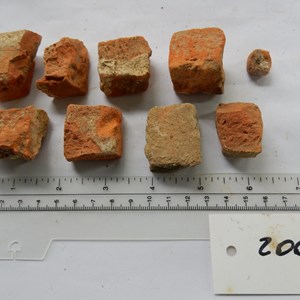 and sadly some of these tesserae – that should be in the mosaic.  Photos from Joy, Helen and Liz