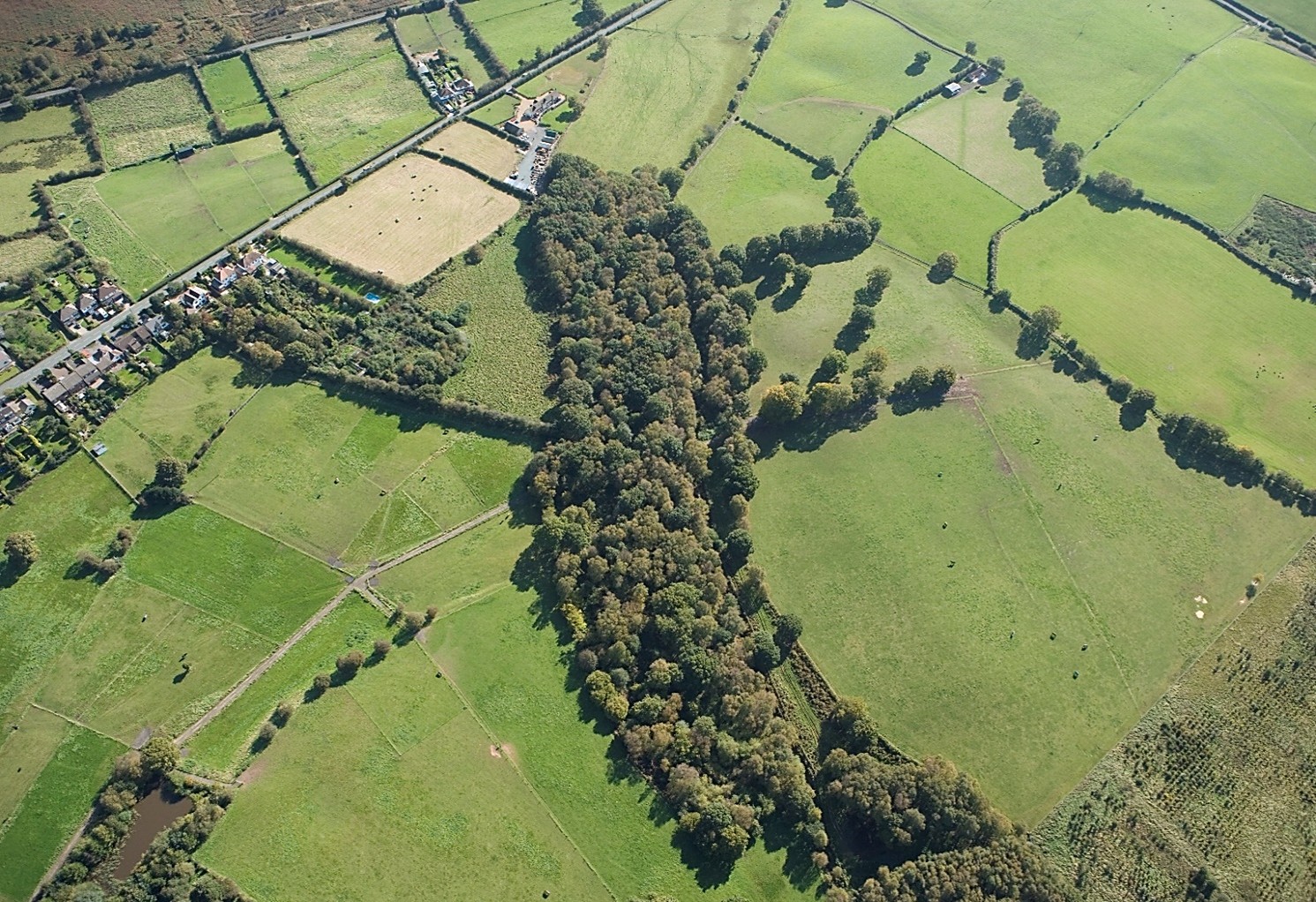 Courtbanks Covert, 9th October 2008			           	© Historic England Archive 20829/055