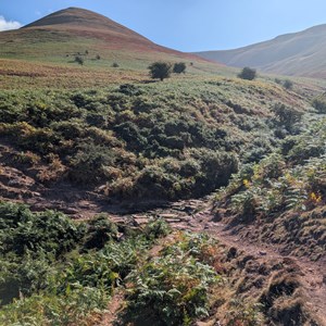 Hereford Mountain Club Our Recent Activities