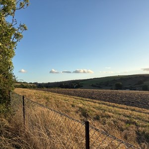 Coombe Bissett Down