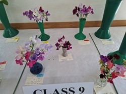 Bucklebury and Marlston Horticultural Society Summer Show 2026