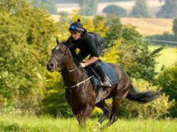 Chaddleworth Parish Council HEROS Charity