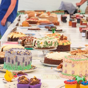 HBT Horticultural Society Photographs 2025