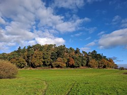 Bomere Heath & District Parish Council Home