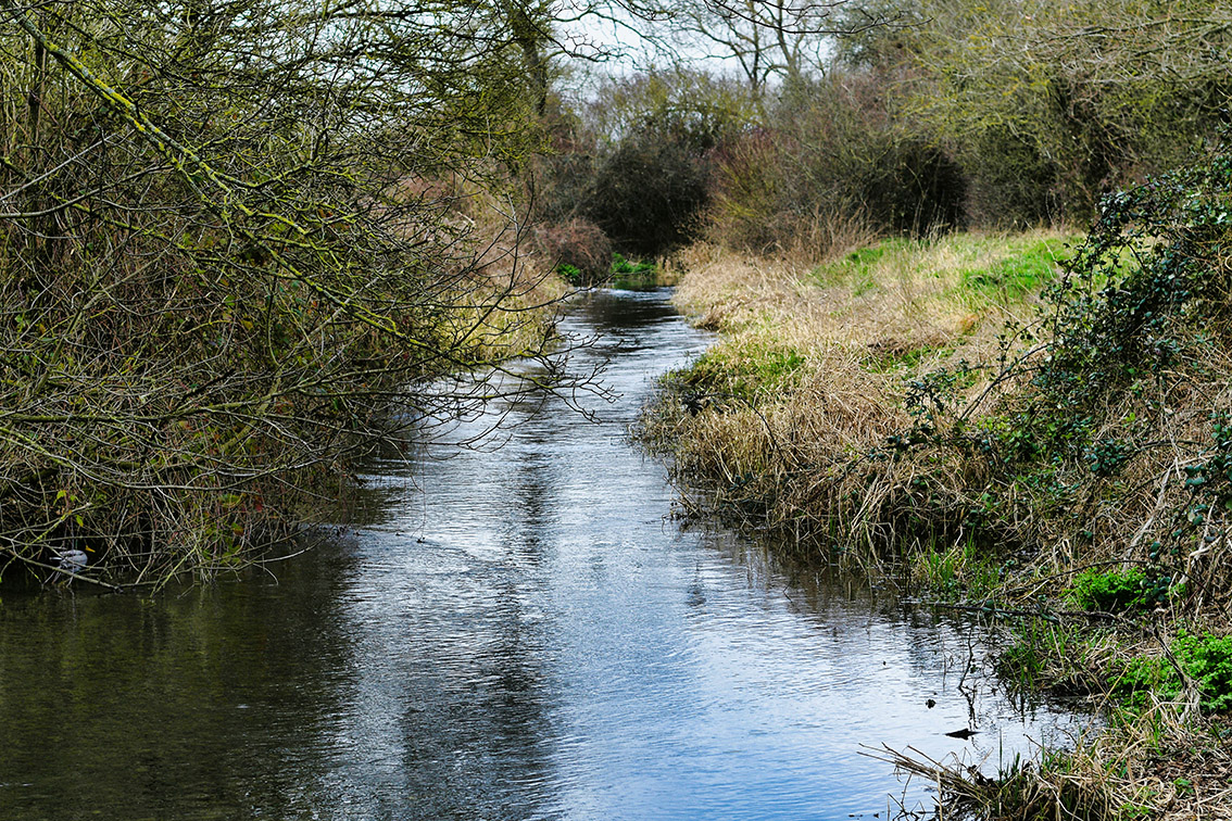 The River Lavant: a rare chalk stream