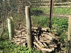 Log Pile