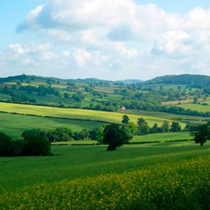 Meetings, Wrockwardine Wood and Trench Parish Council