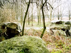 Bramdean & Hinton Ampner Parish Council Home